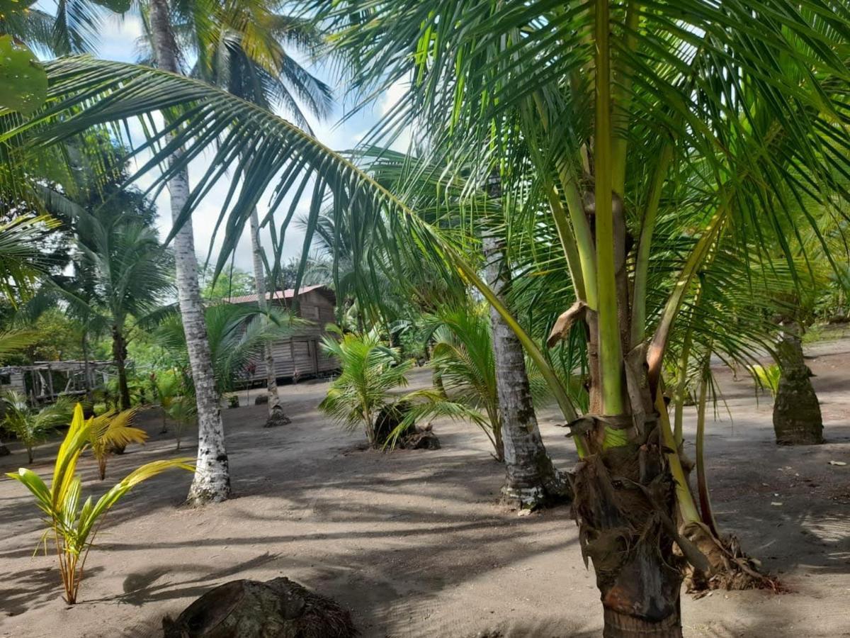 Hospedaje Dona Nel El Valle  Exteriör bild